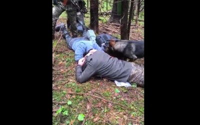 Прикордонний пес в Карпатах затримав двох порушників з Сумщини