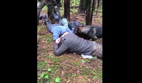 Прикордонний пес в Карпатах затримав двох порушників з Сумщини