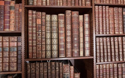 Петро Раєвський – письменник (140 років тому)