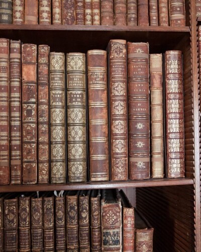 Петро Раєвський – письменник (140 років тому)