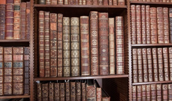 Петро Раєвський – письменник (140 років тому)