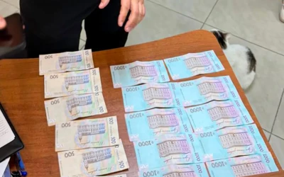 У Вінниці Нацполіція затримала ділків на підкупі працівника ДСНС