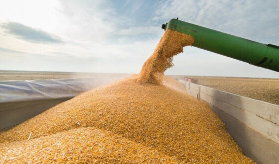 У рамках Grain from Ukraine до Ємену прибуло судно із 30 тис. тонн української пшениці