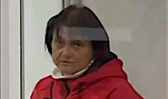 СБУ повідомила про підозру нападниці на відомого волонтера та активіста Сергія Стерненка