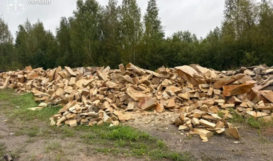 13 осіб розкрадали бюджетні кошти на понад 81 млн грн., займалися шахрайством, екологічними злочинами