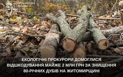 Екологічні прокурори домоглися відшкодування майже 2 млн грн за знищення 80-річних дубів на Житомирщині
