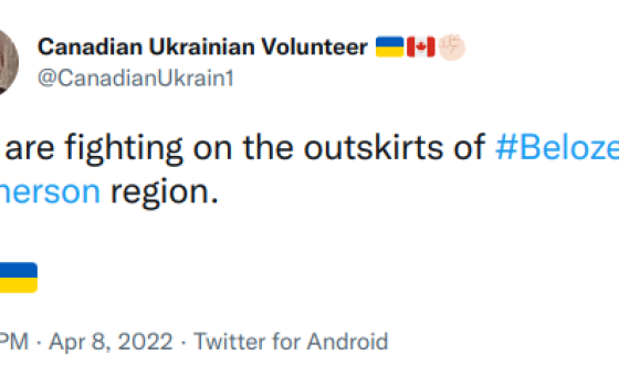 Канадський іноземний легіонер повідомляє, що вони вже поблизу Чорнобаївки (мапа)