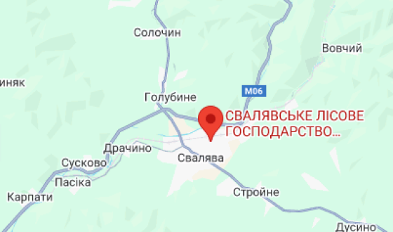 На Закарпатті судитимуть колишнього директора лісгоспу, який завдав збитків місцевим громадам на понад 4 млн грн