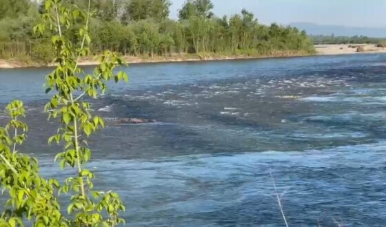 Ще одне тіло людини виявили на березі Тиси
