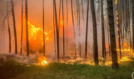 На Харківщині через російські обстріли горять понад 4 тисячі гектарів лісу