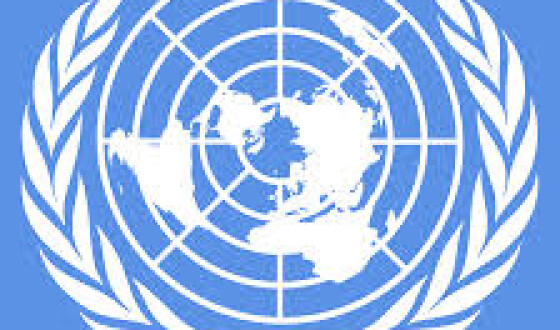 Борис Вжесневський доповідає від імені Світового Конгресу Українців із засідання ГенАсамблеї ООН