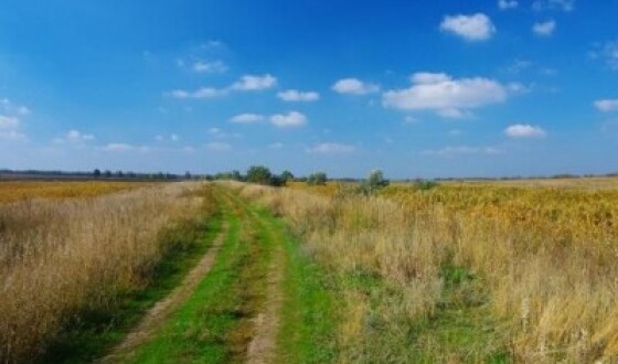 Розгул бандитизму в українських селах