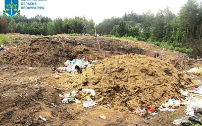 Прокуратура Житомирщини домоглася стягнення з лісгоспу понад 1 млн грн заподіяної довкіллю шкоди