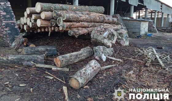 Збитки довкіллю на понад 17 мільйонів гривень: на Житомирщині слідчі оголосили підозри групі контрабандистів лісу