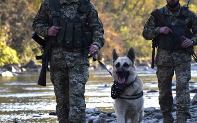 На Закарпатті травмувався порушник кордону, який тікав від прикордонників