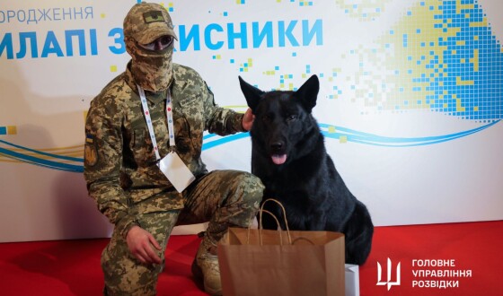 Пес-розвідник Шторм нагороджений відзнакою Кінологічної спілки України