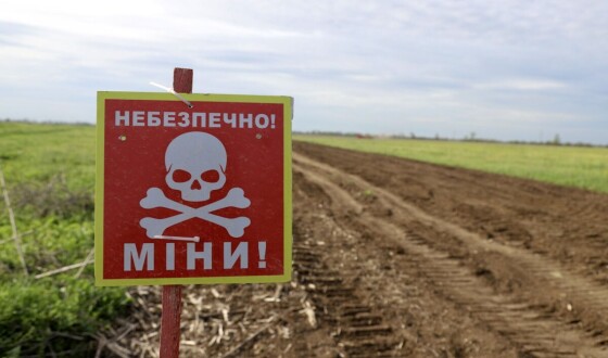 Як фермеру отримати компенсацію за розмінування земель: відповідь експерта