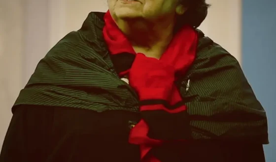 «Зірка» в Тячеві: кіно, слово, сила жінки