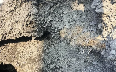 Неякісне вугілля для закладів освіти: слідчі поліції Житомирщини повідомили про підозру постачальнику