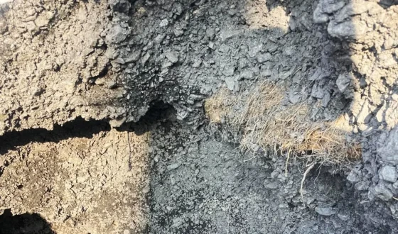 Неякісне вугілля для закладів освіти: слідчі поліції Житомирщини повідомили про підозру постачальнику