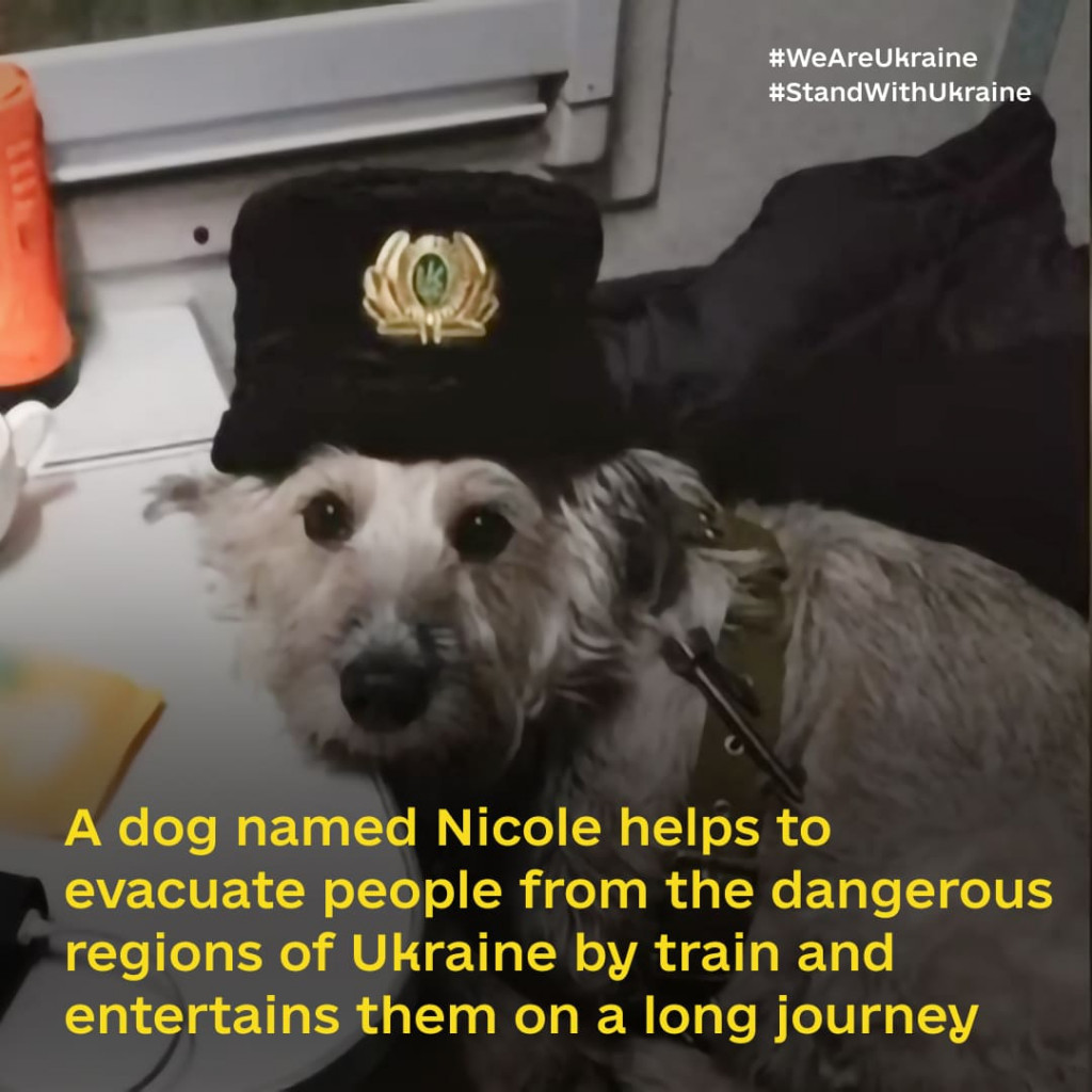 Nicole